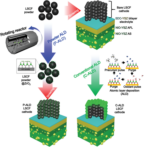 Simultaneous Performance and Stability Enhancement in Intermediate Temperature Solid Oxide Fuel Cells by Powder-Atomic Layer Deposited LSCF@ZrO2 Cathodes