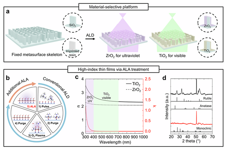 Modal contrast engineering in broadband metalenses enabled by material-selective hybridization